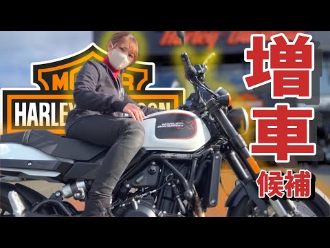 くろまるちゃんねる【ZX25R】 - YouTube