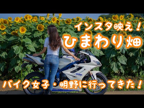 I went to the Instagram-worthy Akeno Sunflower Field on my Daytona