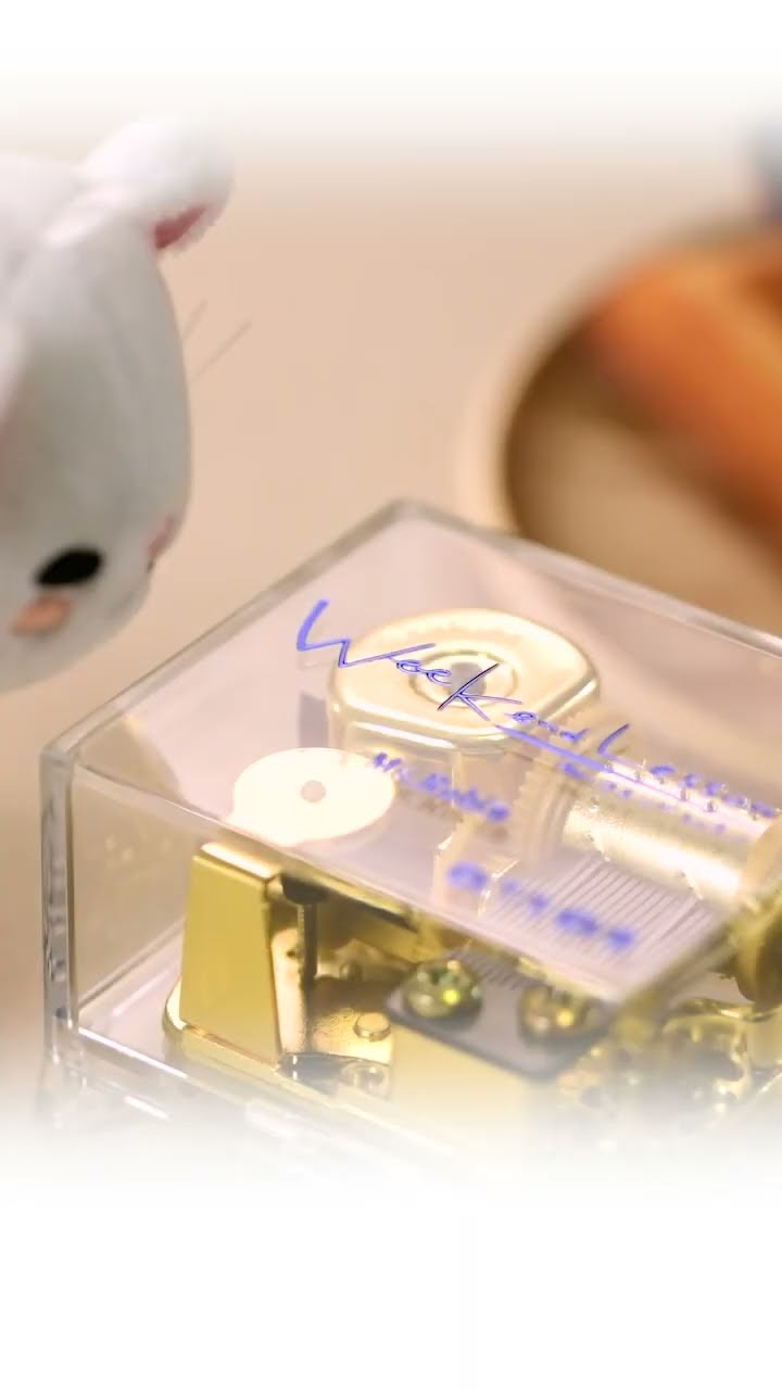 ジャックジャンヌ オルゴール「Ms.Robin」 通販2025/1/14まで