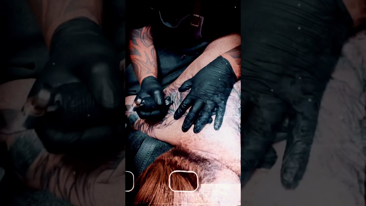 FREIHEIT ファイハイト 2026年モデル : スターター セット PRO