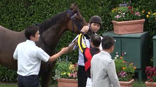 Newcomer race] Brown Ratchet, the sister of Forever Young, wins