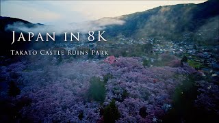 Japan in 8K- Takato Castle Ruins Park- 高遠城址公園の桜 - YouTube