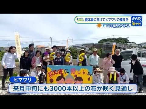 夏本番へ向け ヒマワリの種まき「認知症を正しく理解」啓発の輪を広げ