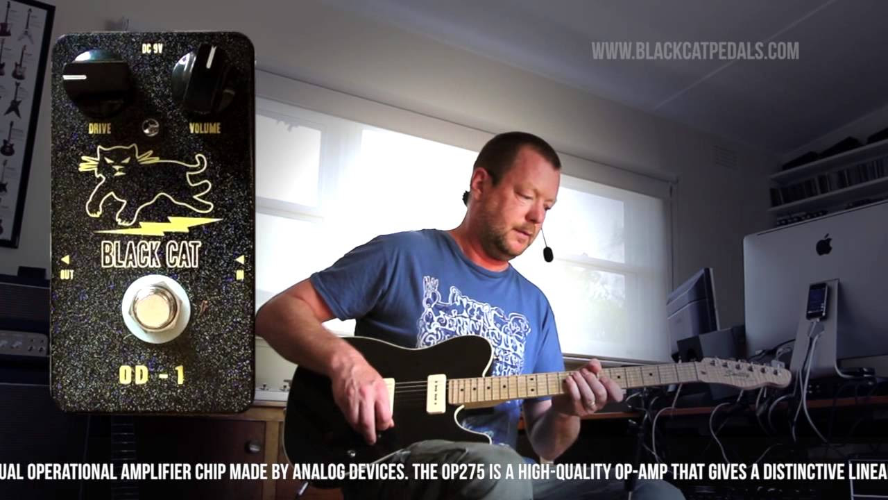 CAE Freddy Fuzz Sound Check 【魔法の箱研究所】 - YouTube