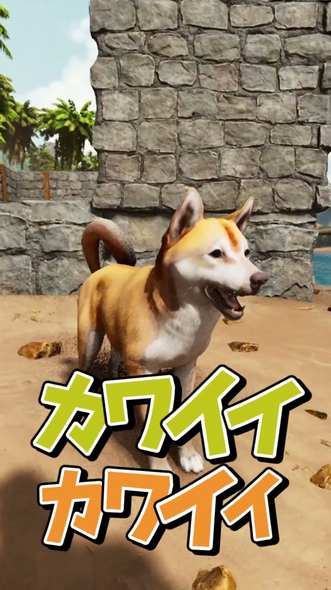 犬うさぎ - YouTube