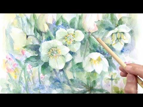水彩画]白いクリスマスローズを透明水彩で描く/watercolorpainting