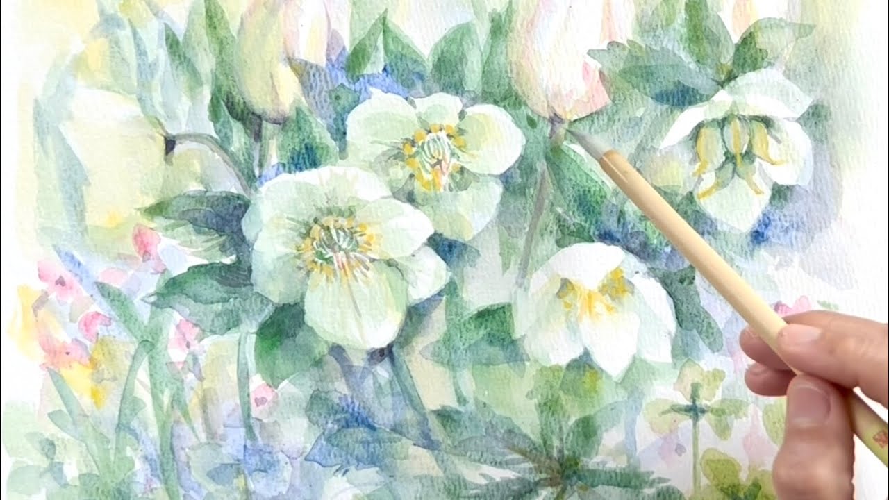 水彩画]白いクリスマスローズを透明水彩で描く/watercolorpainting