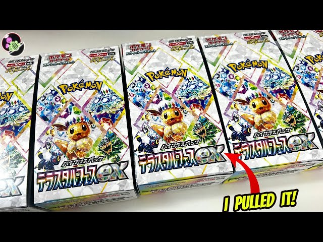I Pulled the BEST Card In Terastal Fest! Opening 4X Pokemon