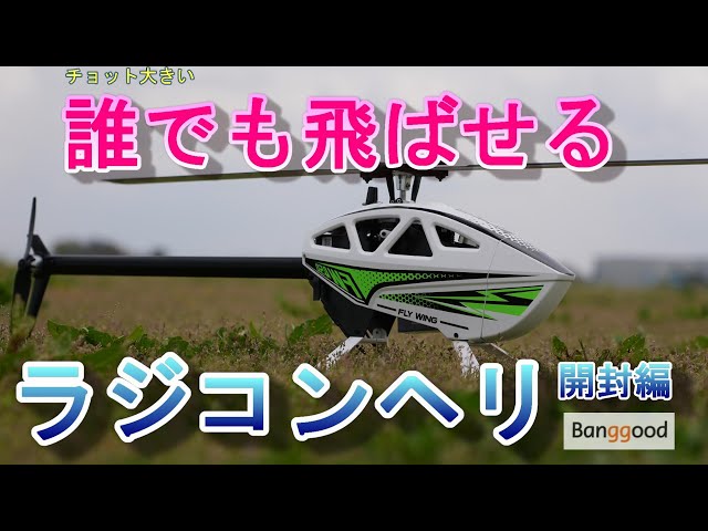 チョット大きい誰でも飛ばせるラジコンヘリ 徹底レビュー WLY WING