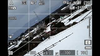 NIKKOR Z 24-105mm F4-7.1 AF test （Z8） - YouTube