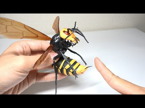 I got stung by an unbelievably large hornet - YouTube