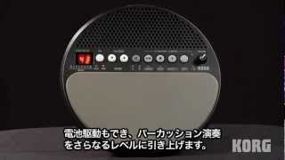 KORG WAVEDRUM Mini -introduction- - YouTube