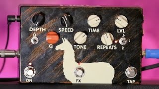 Review Demo - Jam Pedals Delay Llama Supreme - YouTube