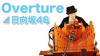 日向坂46「Overture」】手回しオルガン/StreetOrgan(Flute type) - YouTube