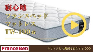 フランスベッド（FRANCEBED） 正規品 マットレス ダブル TW-100α