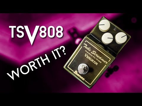 Is it the SUPER SCREAMER? Ibanez TSV808 Review - YouTube