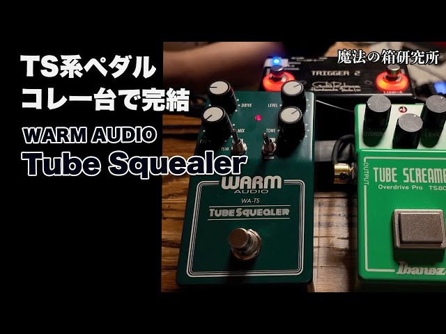 Comprehensive Testing of the WARM AUDIO Tube Squealer, a TS-type