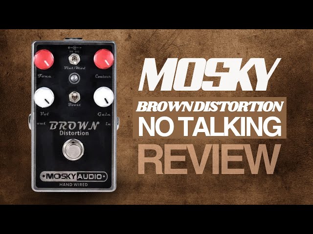 MOSKY Brown Distortion - Best in the BUDGET category? [NO TALKING
