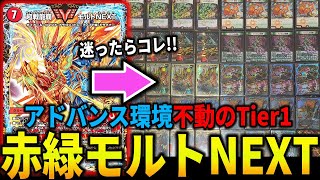 環境最強シリーズ】今、≪モルトNEXT≫がアドバンス環境最強らしいぞ