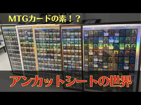 貴重】アンカットシートの世界を堪能！販売もあります！【東京MTG