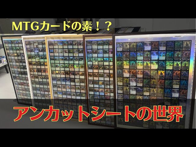 貴重】アンカットシートの世界を堪能！販売もあります！【東京MTG