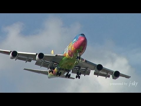 Haneda Curve] ANA 747 Memorial #026 : 747-481D [JA8956] at HND