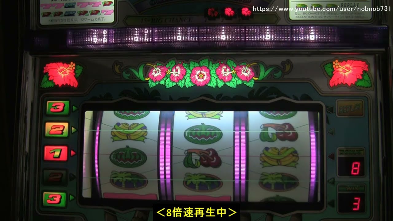 シオラー30（パイオニア）【パチスロ 4号機 沖スロ 裏 32Gバージョン