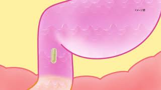 ビフィコロンS｜日清ファルマ株式会社