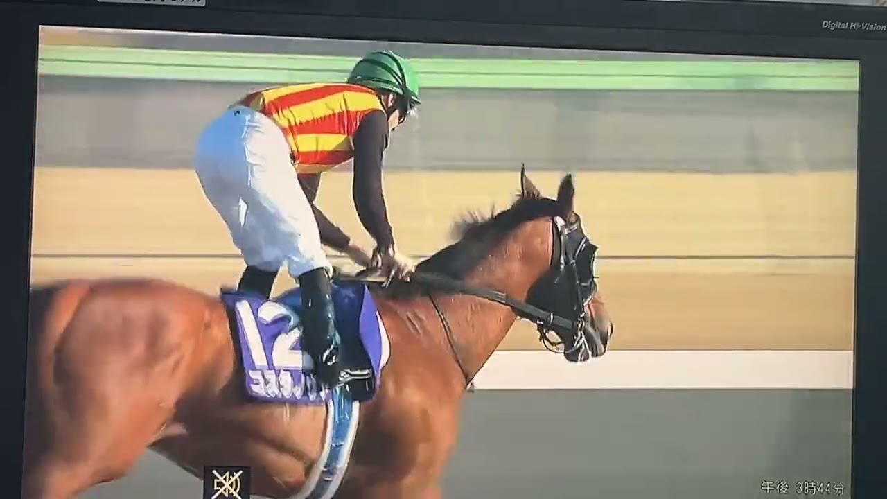 2025年 日本ダービー（GⅠ） | クロワデュノール | JRA公式 - YouTube