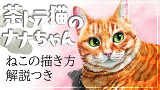 アナログ水彩】かわいい猫の描き方／茶トラ猫のナナちゃん【解説つき
