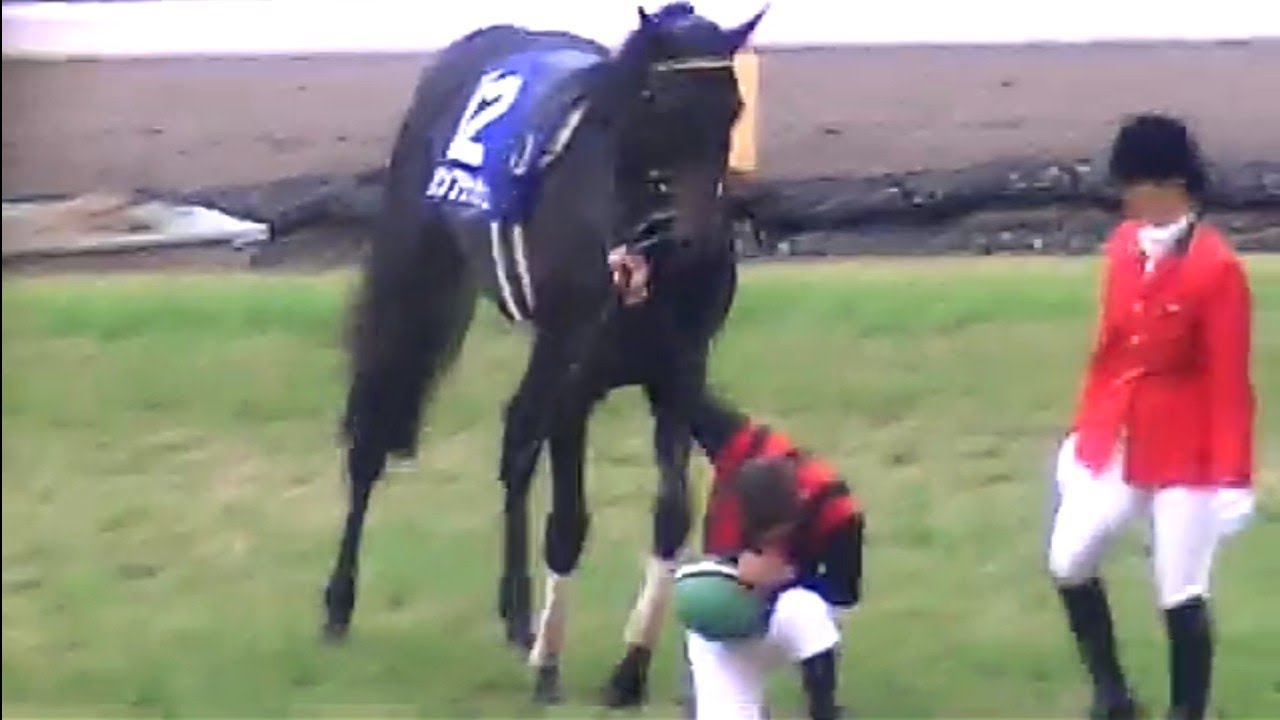 天皇賞（秋）優勝馬エイシンフラッシュ号＆勝利騎手Ⅿ.デムーロ騎手