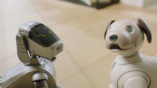 aibo 25th anniversary | Crafting stories together, now and beyond