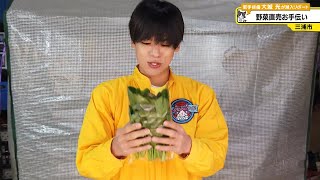 猫のひたいほどワイド #1513 潜入リポート・大城光「お世話になってる