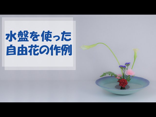 生け花】池坊華道教授が水盤で自由花を生ける《いけばな紹介4》 - YouTube