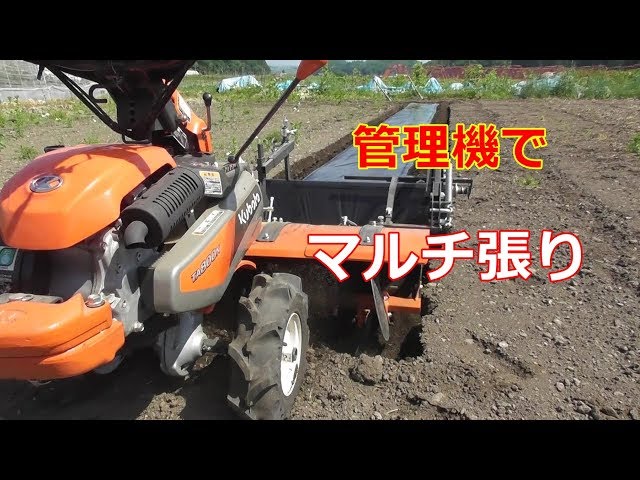 クボタ】管理機でマルチ張り ニューベジマスターTA800N × ロータリ
