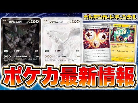 ポケカ】『ブラックボルト』の当たりランキング！買取相場や封入率も