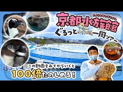 Check it out before you go! Make your visit to Kyoto Aquarium 100