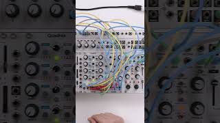 Intellijel Steppy - Eurorack Module on ModularGrid