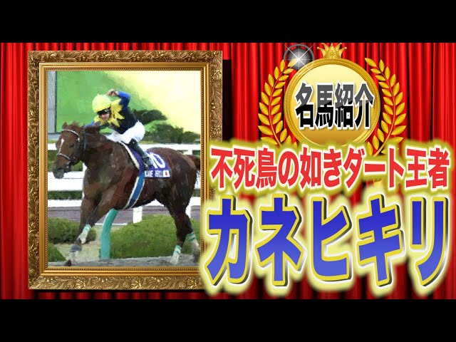名馬】カネヒキリ〜不屈の闘志で何度も甦った名馬〜 - YouTube