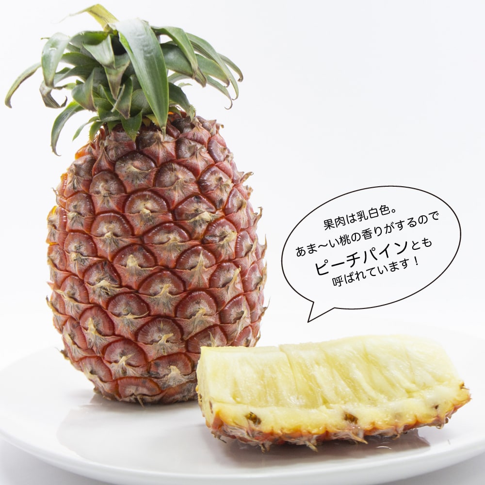 ソフトタッチ パイナップル の特徴と育て方 kaju_pain02-fset | 苗木部