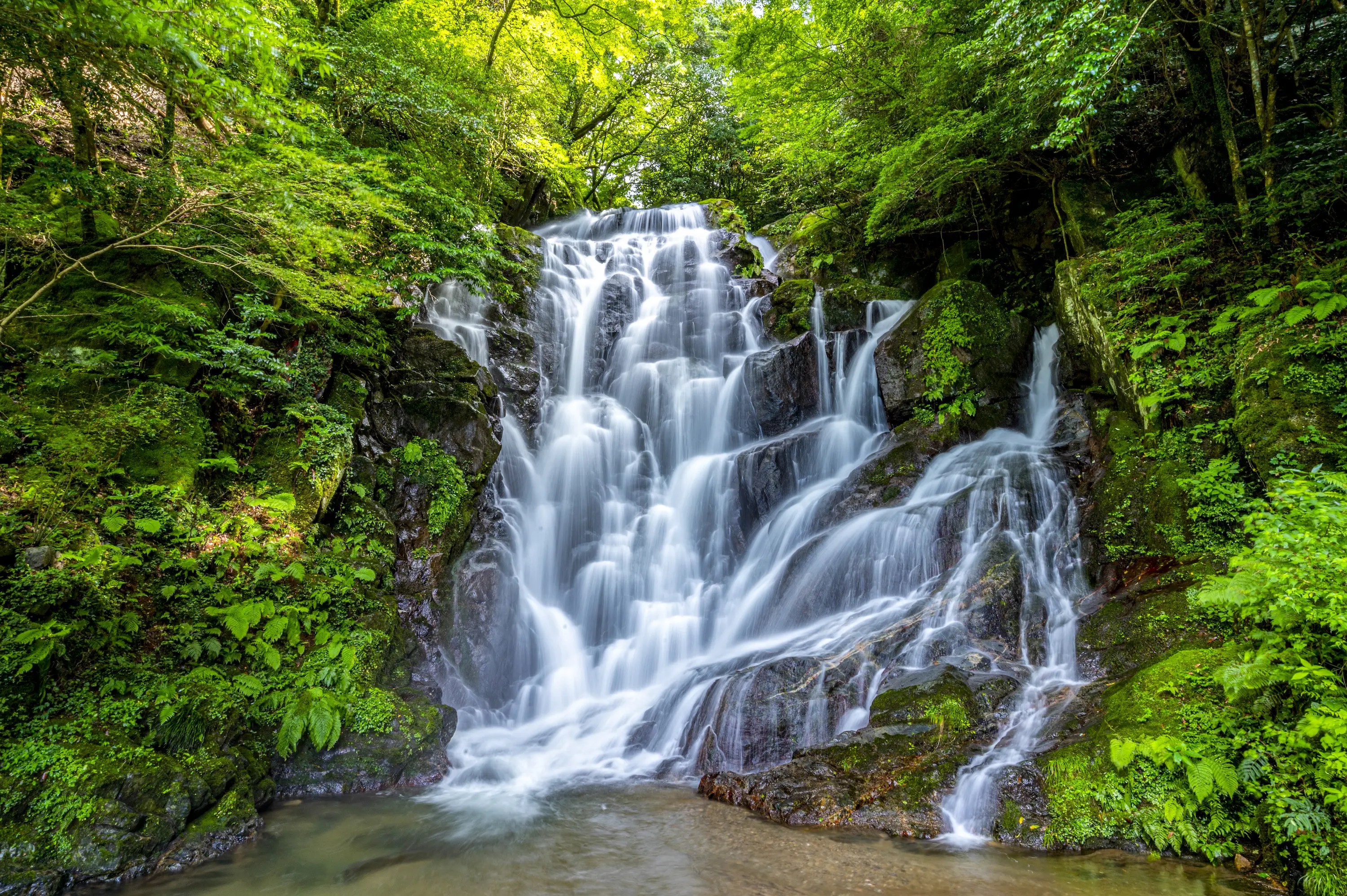 白糸の滝｜糸島市 | ニッポン旅マガジン