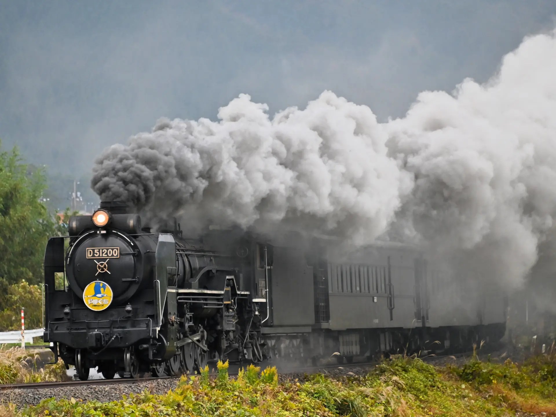 slyamaguchi-run01.jpg?fit=1920