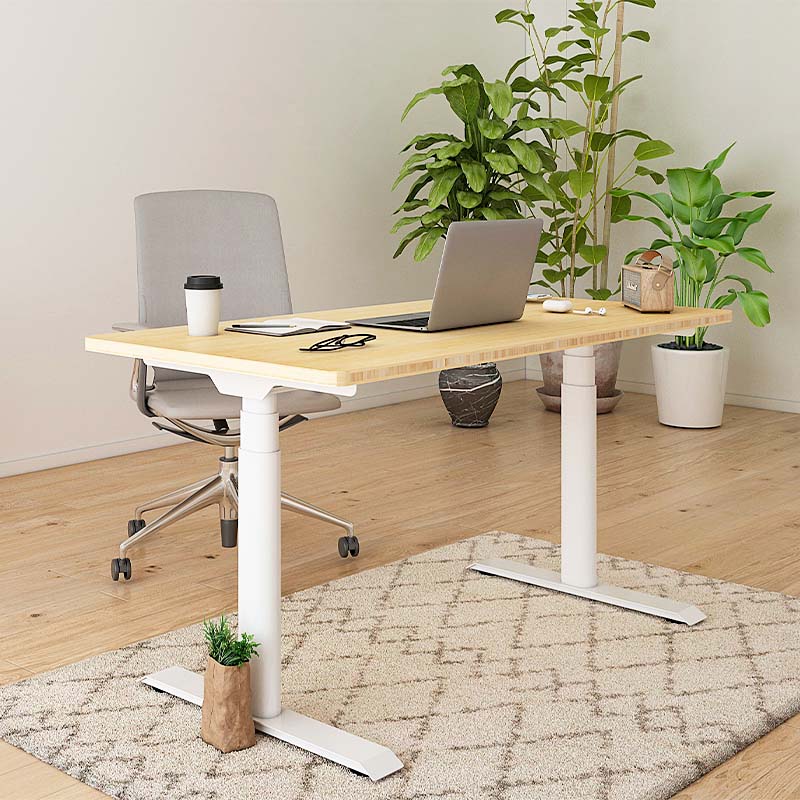 Electric Height Adjustable Standing Desk: Dual Motor Economical