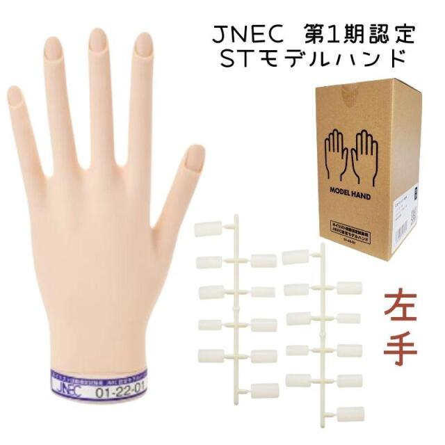 JNEC、JNAネイリスト技能認定グッズ（モデルハンド/両手・右手・左手