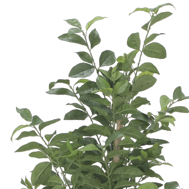 光触媒 光の楽園 レモンの木1.35m【インテリア フェイクグリーン 人工