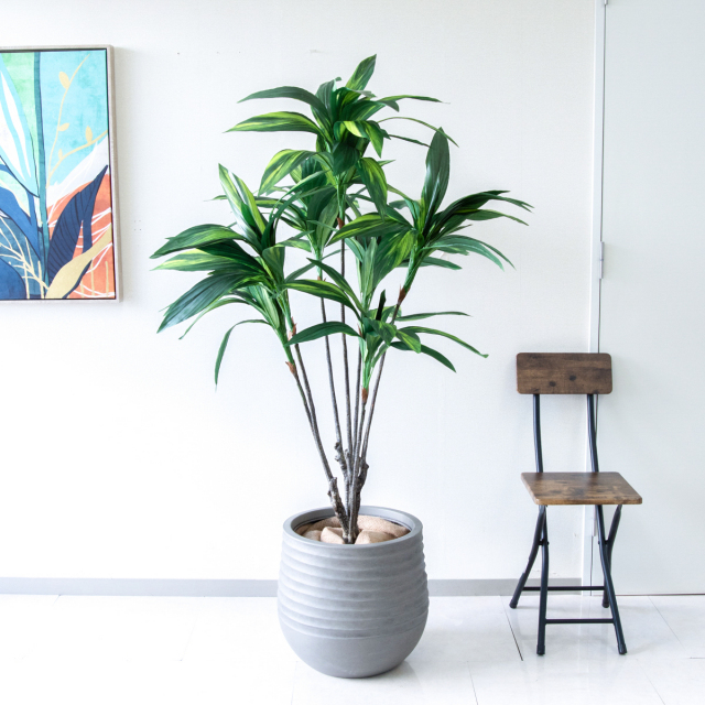 人工 観葉植物 フェイク グリーン ハランスタイル H約155cm 店舗 装飾