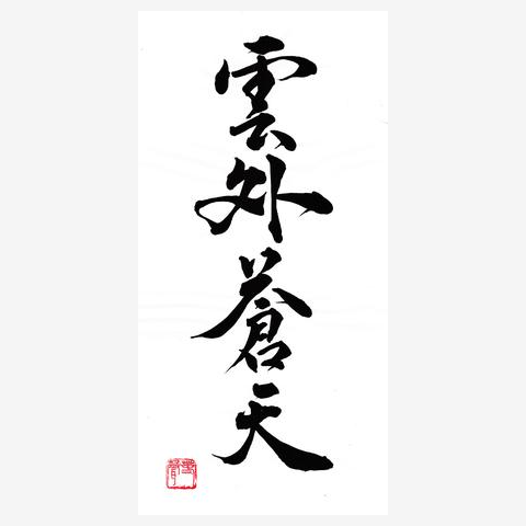 書道 作品 雲外蒼天 四字熟語 レディースTシャツを購入|デザインT