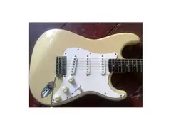 Tokai Springy Sound - What To Know & Where To Buy | Equipboard