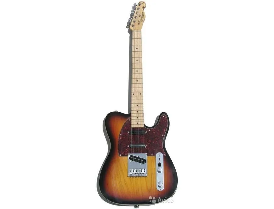 bill lawrence swampkaster t - What To Know & Where To Buy | Equipboard