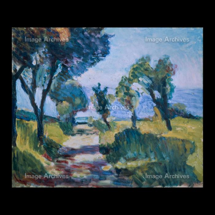 作品詳細 | コルシカ島の風景―オリーヴの木 | イメージアーカイブ